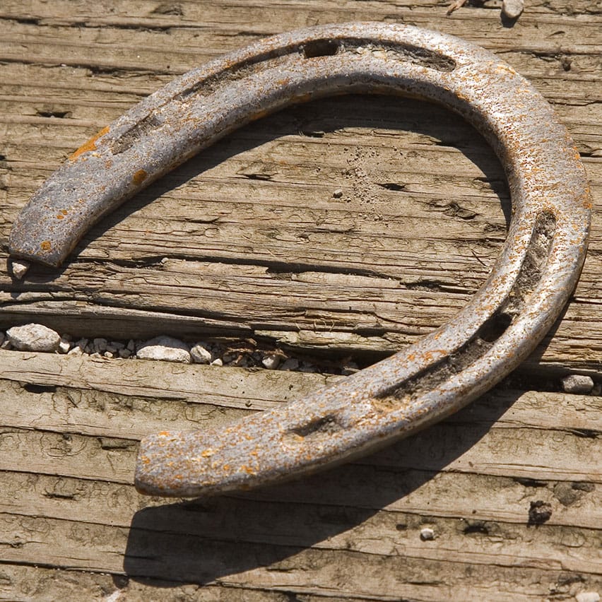 Horseshoes