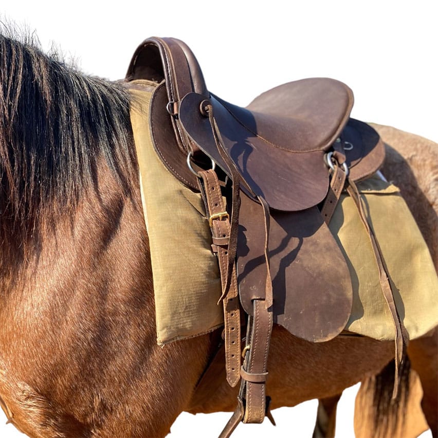 Saddle