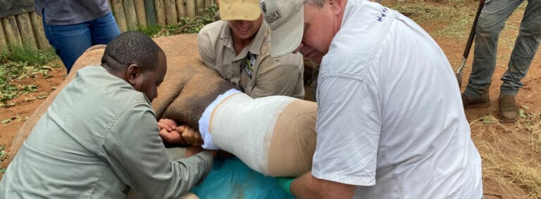 What a Day as a Care for Wild Volunteer Actually Looks Like