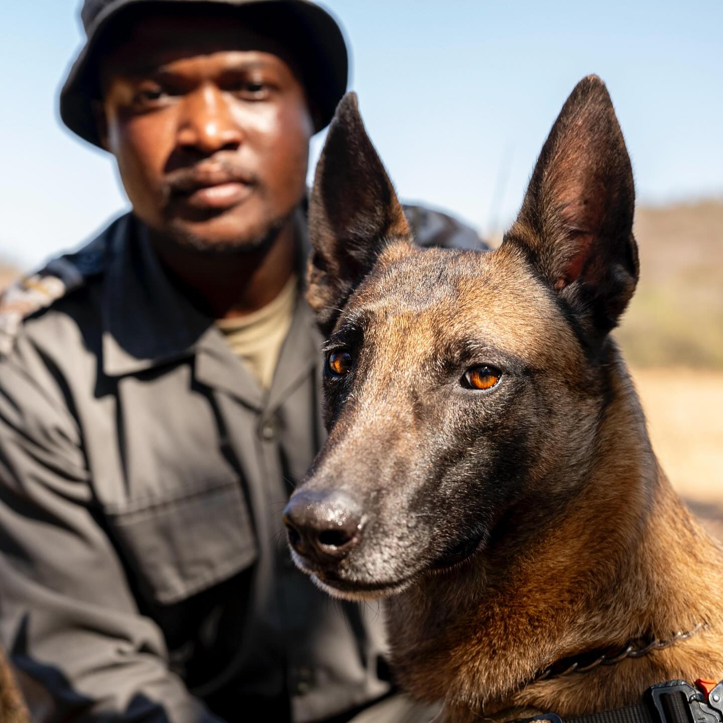 Protection & Anti-Poaching