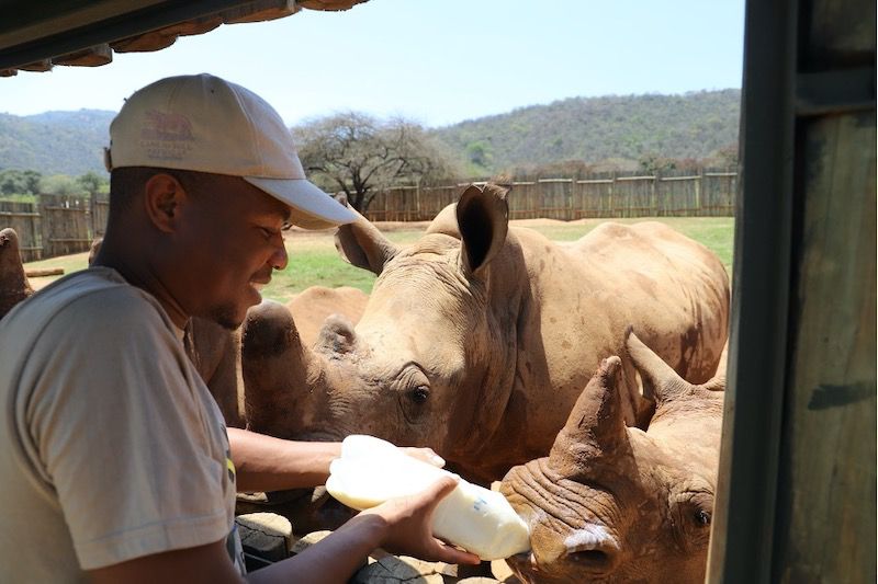 Rhino Care Support