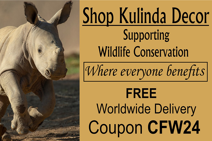 Kulinda Project